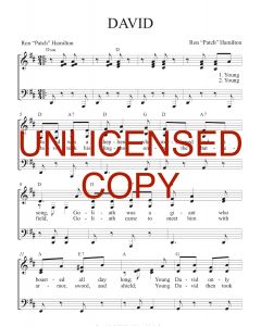 David - Patch Praises (PDF download)