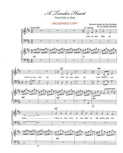 A Tender Heart - James Koerts Piano Solo (PDF download)