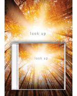 Look Up - Director's Preview Kit (Book/CD)